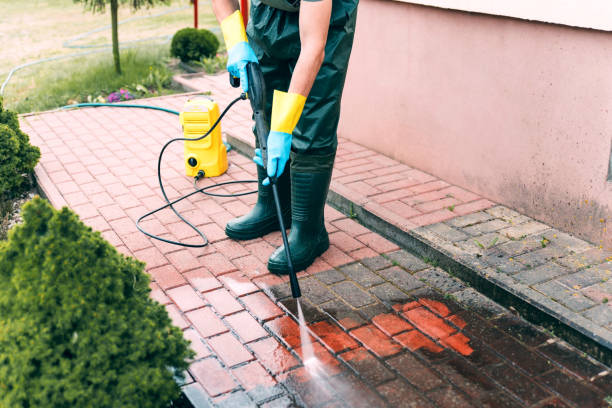 Best Fence Cleaning  in Burlington, KY